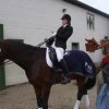Vivi und Don 4